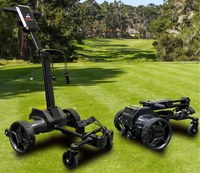 Carrito de Golf Eléctrico Wally UGV W5